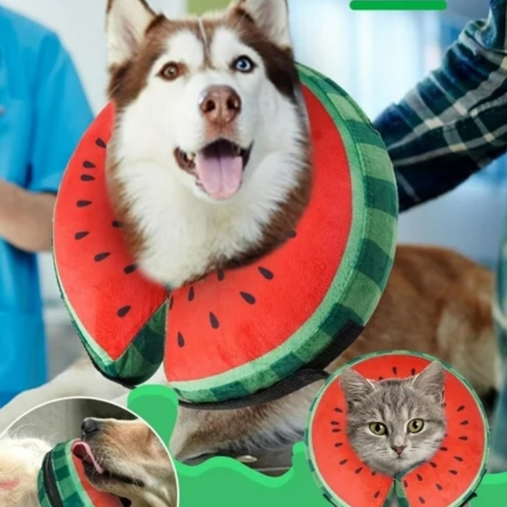 Watermelon Plush Inflatable Pet Recovery Collar - Red & Green